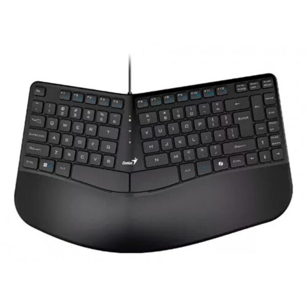 TECLADO CURVO ERGONOMICO GENIUS ERGO KB-700 BLACK USB